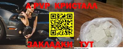 спайс Малгобек