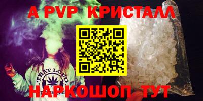 спайс Малгобек
