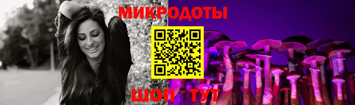 Десногорск  Псилоцибиновые грибы Cubensis  Вход с VPN 